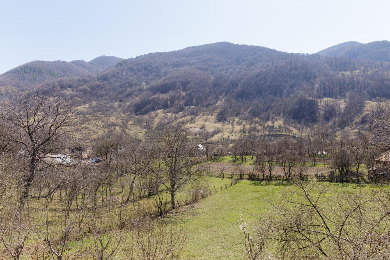 Nook Of Nature Basca Rozilei Zewnętrze zdjęcie